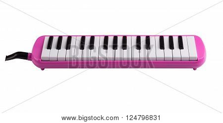 pink melodeon music instrument for child isolated on white