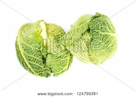 Savoy cabbage lay on a white background. Insulation