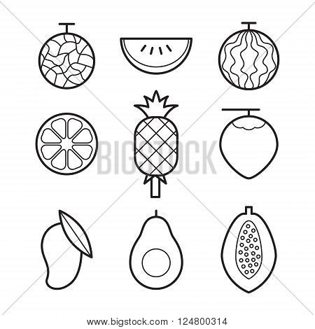 clip art fruit set on white background