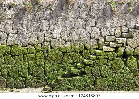 Background image of the beginning of a stone stair covered with green mud.