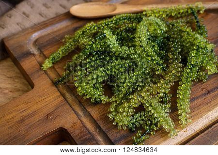 Sea Grapes (Caulerpa Lentillifera) seaweed on wooden table
