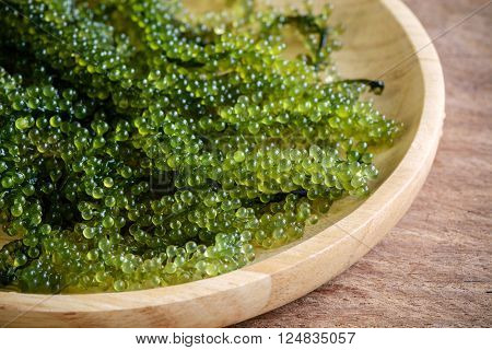Sea Grapes (Caulerpa Lentillifera) seaweed on wooden table