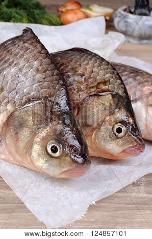 fresh crucian carp stacked on the paper table close up