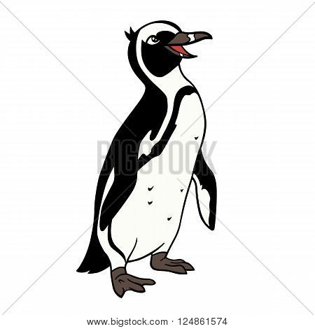 Vector illustration of cute cartoon smiling african penguin on a white background.