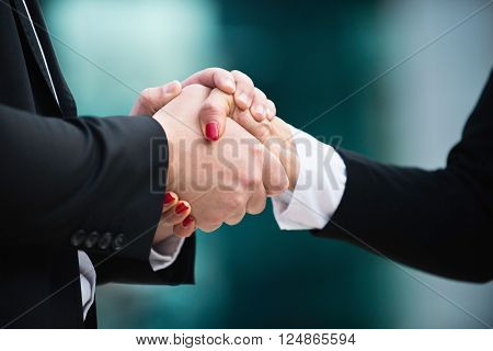 Cordial business handshake close up, horizontal image