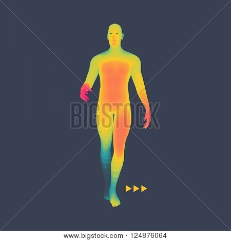 Man Stands on his Feet. 3D Model of Man. Human Body Model. Vector Illustration. 