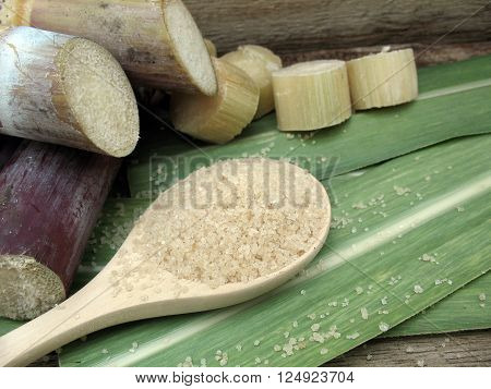 sugar cane for made sugar sweet and fresh
