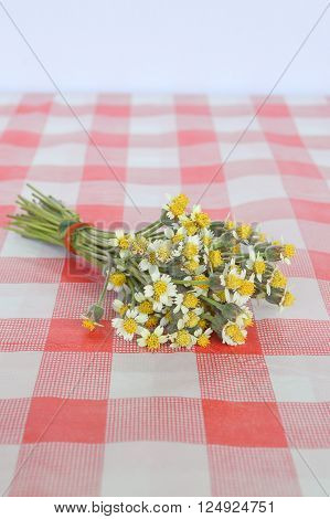 close up white coatbuttons flower on tablecloth