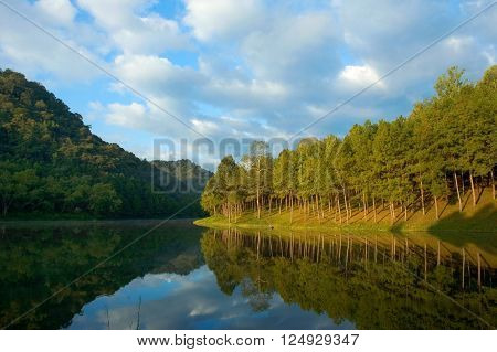 Pang Ung , Reflection Of Pine Tree In A Lake , Meahongson , Thailand