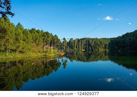 Pang Ung , Reflection Of Pine Tree In A Lake , Meahongson , Thailand