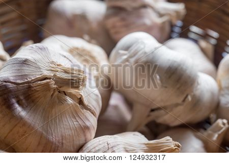 Close-up of a basket of organic garlic heads.