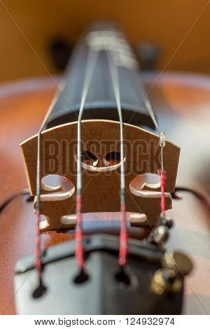 Close-up of the four strings of a violin and the sound post vertical orientation