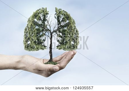 Green eco life 
