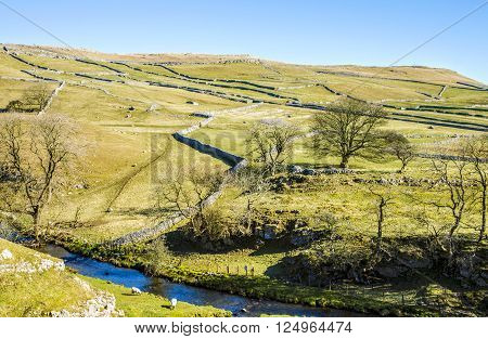 Malham Beck, North Yorkshire, England surrounded by small fields with characteristic limestone walls and trees with bare branches.
