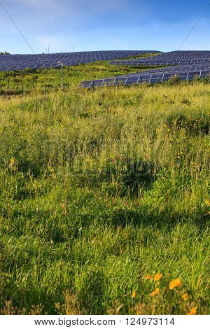 View of solar panels of photovoltaic modules for renewable energy in the Sicily countryside