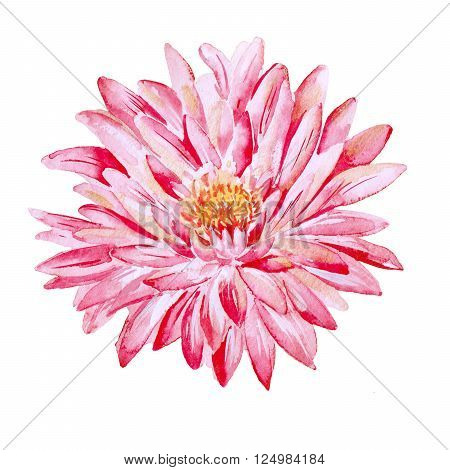 Handmade. Watercolor illustration of a high quality for your design. Eco art.