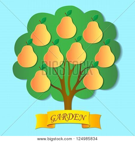 Orange-yellow pears on the tree. Ribbon with the inscription "the garden".Blue background. Bright vector illustration.