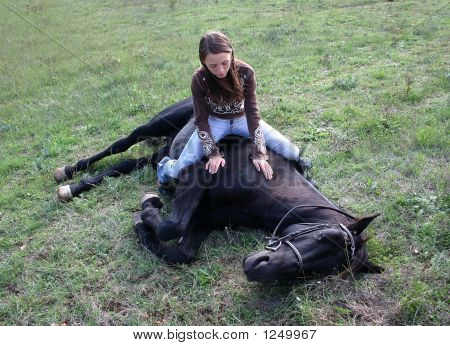 Ragazza e stallone stabilite