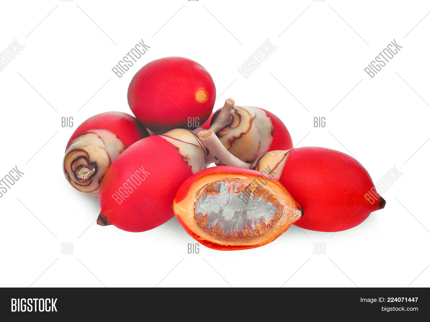 Image Preview