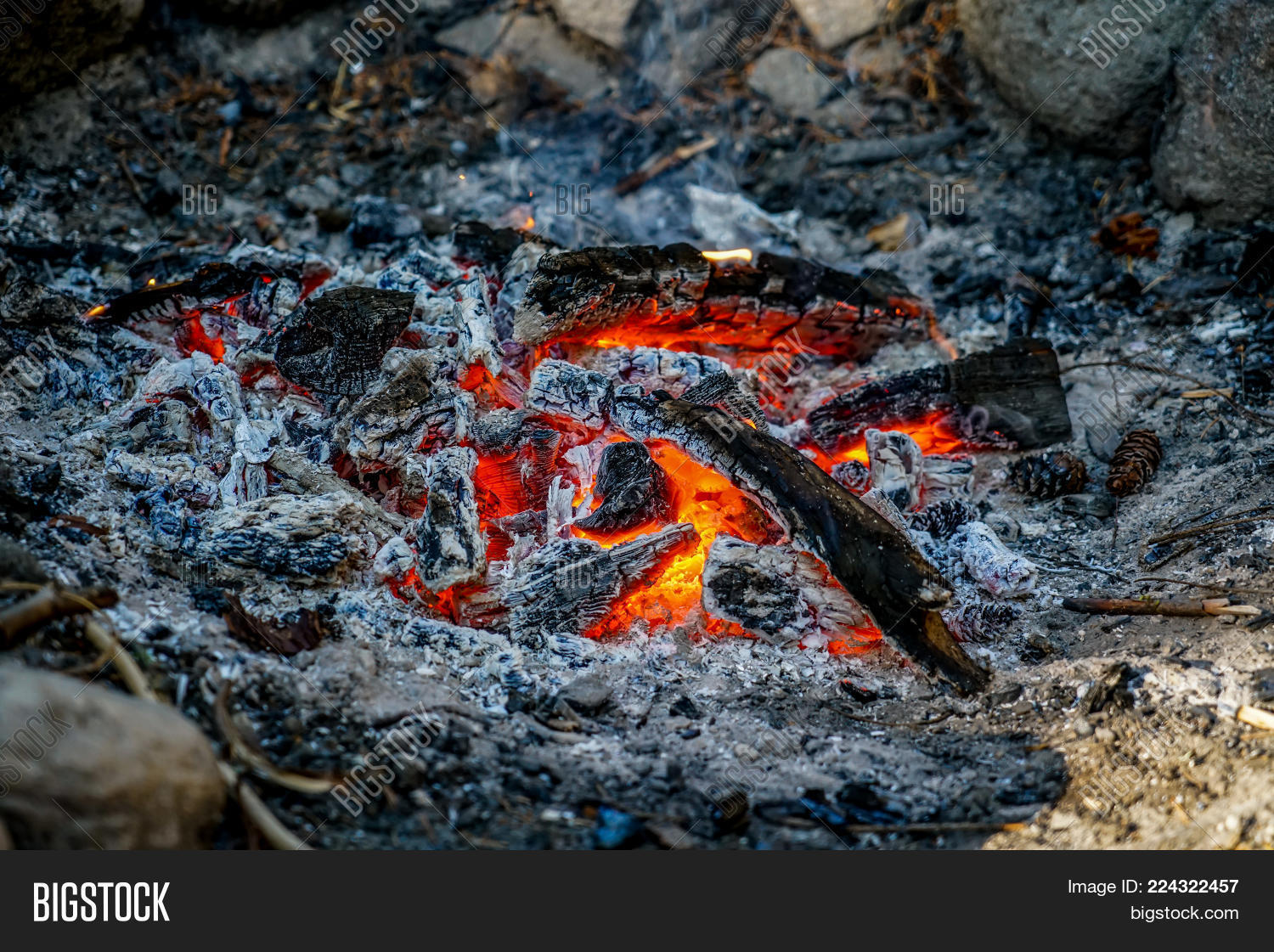 Image Preview