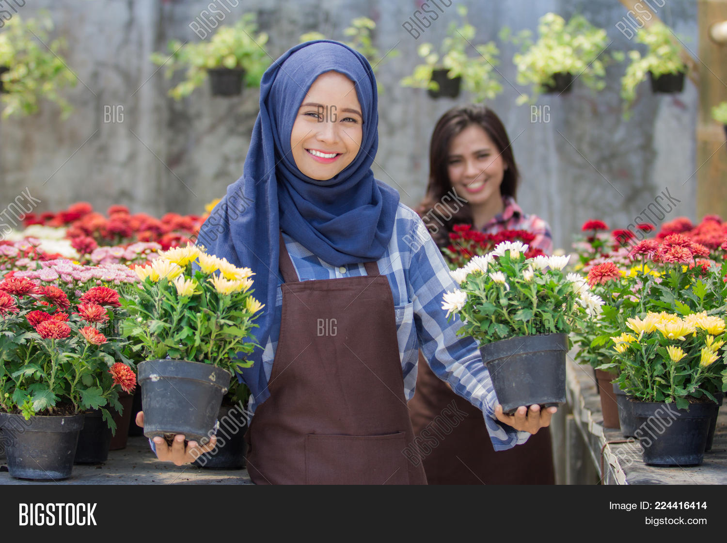 Image Preview