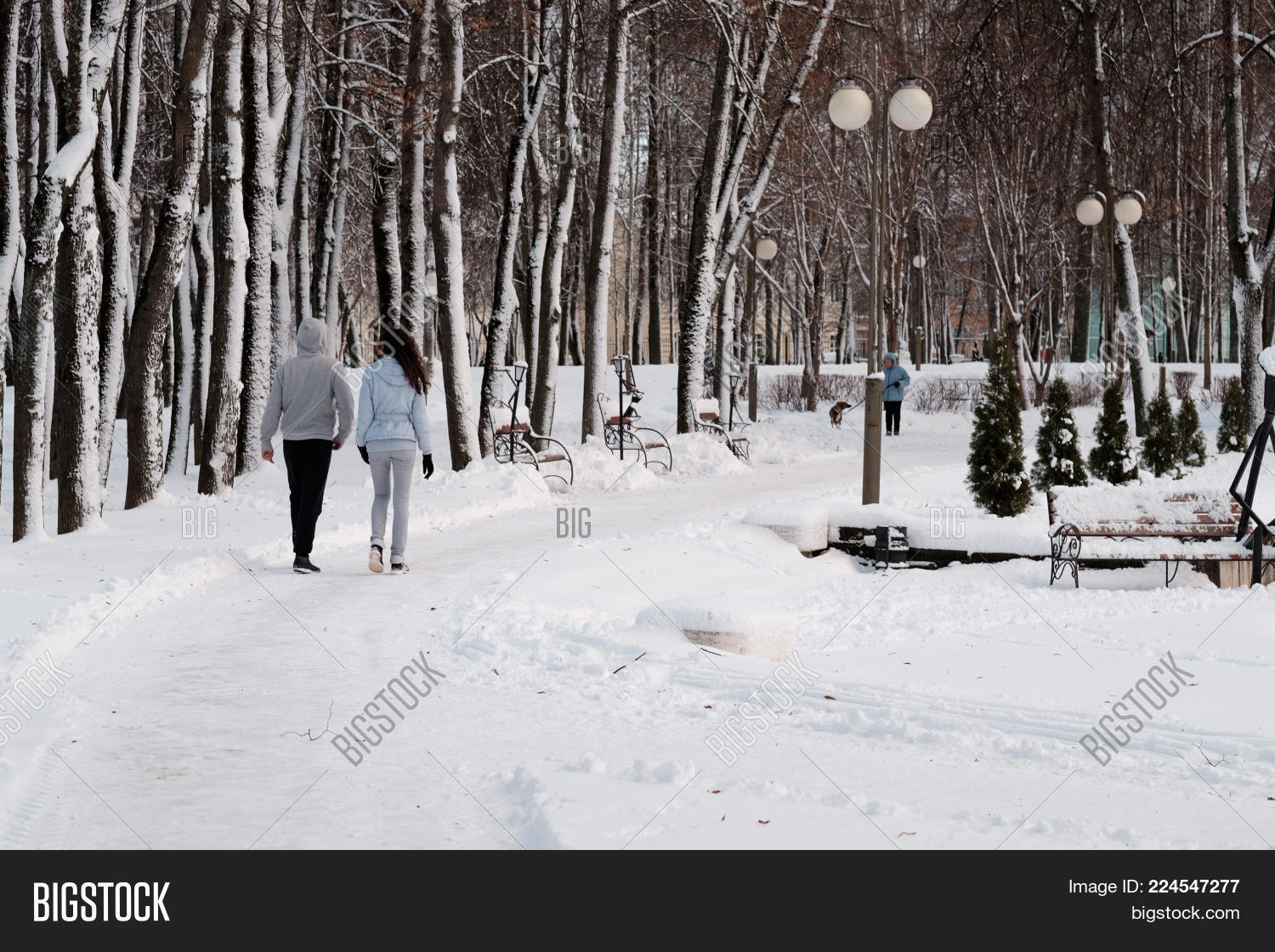 Image Preview