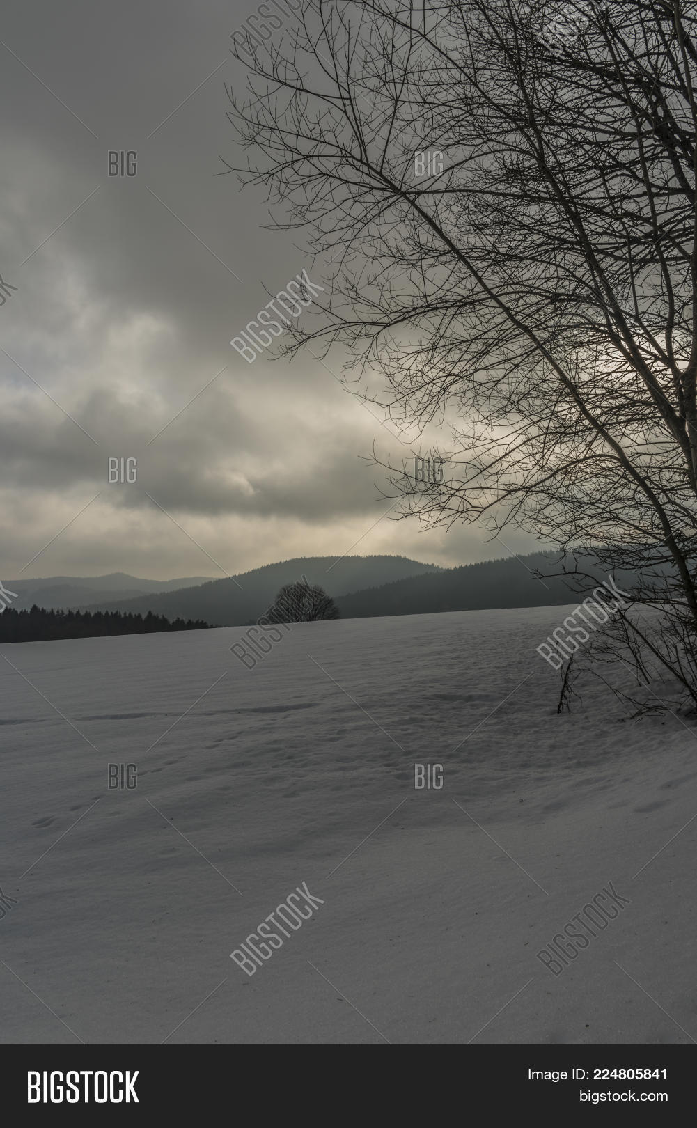 Image Preview