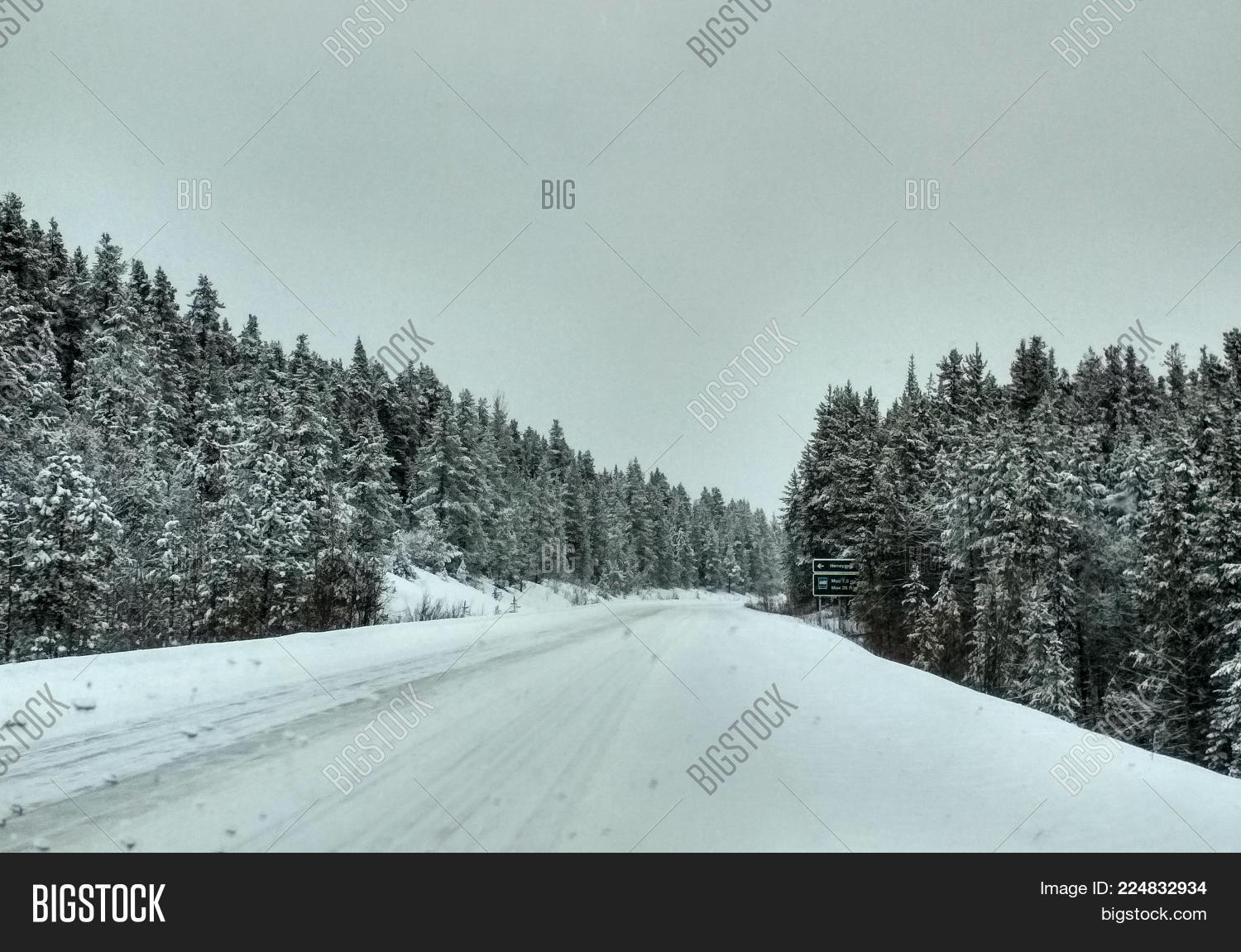 Image Preview