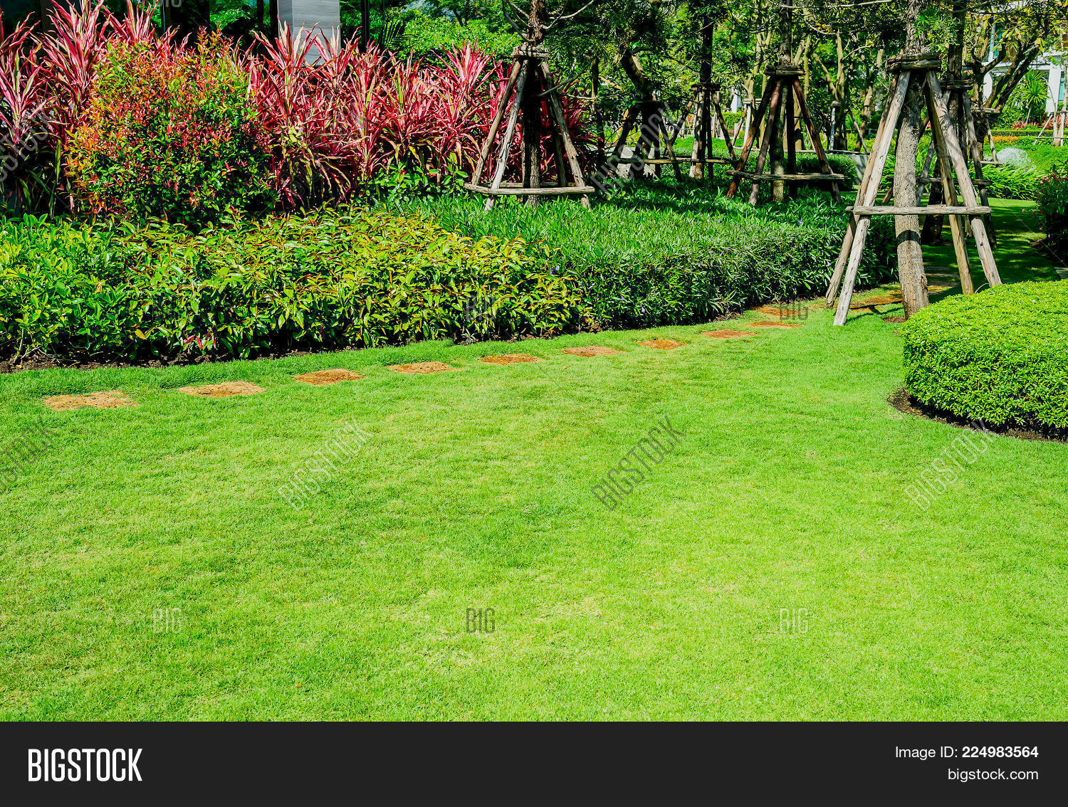 Green Lawn, Front Lawn Image & Photo (Free Trial) Bigstock
