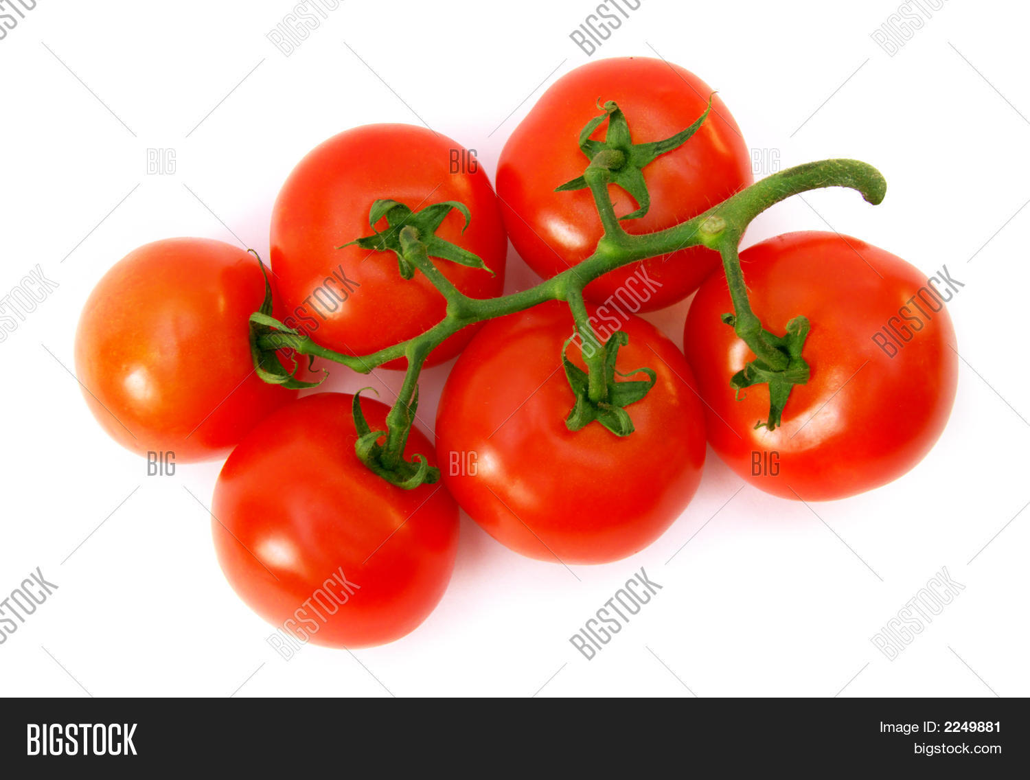 Image Preview