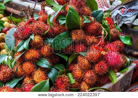 Fresh rambutans is known of Rambutan Gula Batu on basket. Organic raw rambutans with leaf is a tropical fruit, sweet taste.