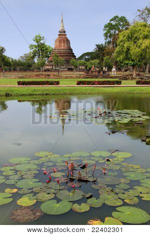 Voda Lilly rybník Sukhothai Thajsko
