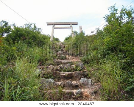 Cancello In natura