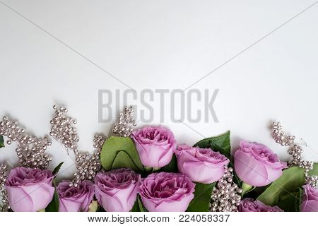 Pink roses flowers on the top of white background. Symbol of elegance, affection and sophistication. Copy space concept