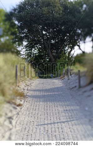 Beach with sand on the German Baltic Sea coast with dunes