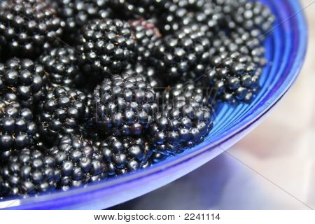 Brombeeren In eine blaue Glasschale
