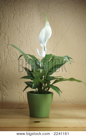 Neu_Img_5911