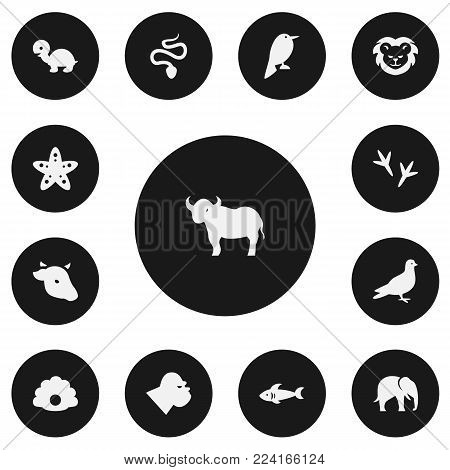 Set of 13 editable zoo icons. Includes symbols such as nightingale, lion, chicken feet and more. Can be used for web, mobile, UI and infographic design.