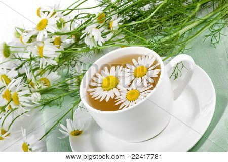 frische Kamille-Blüten und Kamille Kräutertee