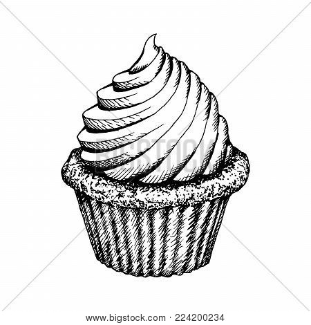 Cupcake Sketch Icon Isolated On White Background. Vintage Cup Cake Hand Drawn Dessert Vector Illustration. Cute Muffins With Cream Engraving Bakery.