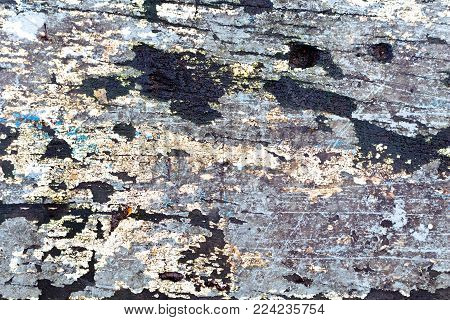 Old White Wood On A  Texture Background