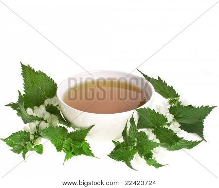 Tisana con ortica fiori su sfondo bianco