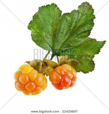 CloudBerry izolovaných na bílém