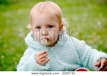 Niño que brilla intensamente en el diente de León