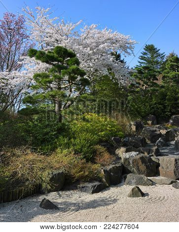 The Botanical Garden in Hamburg. Traditional Japanese garden.