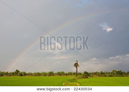 Arco iris