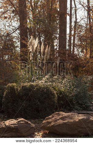 Quiet landscape of rocks, grass and trees