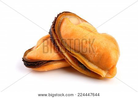 two mussel without shell isolated on white background.
