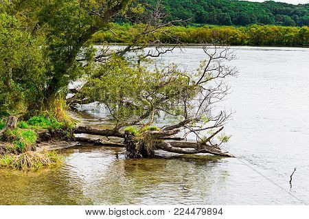 Kurile lake. Kamchatka. Russia. Wild nature Green fields and volcanoes