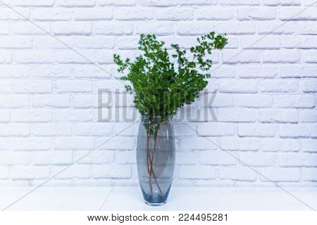 Green flower in a transparent vase on a table on the background of a white ceramic wall. Flower in a vase against a wall background.